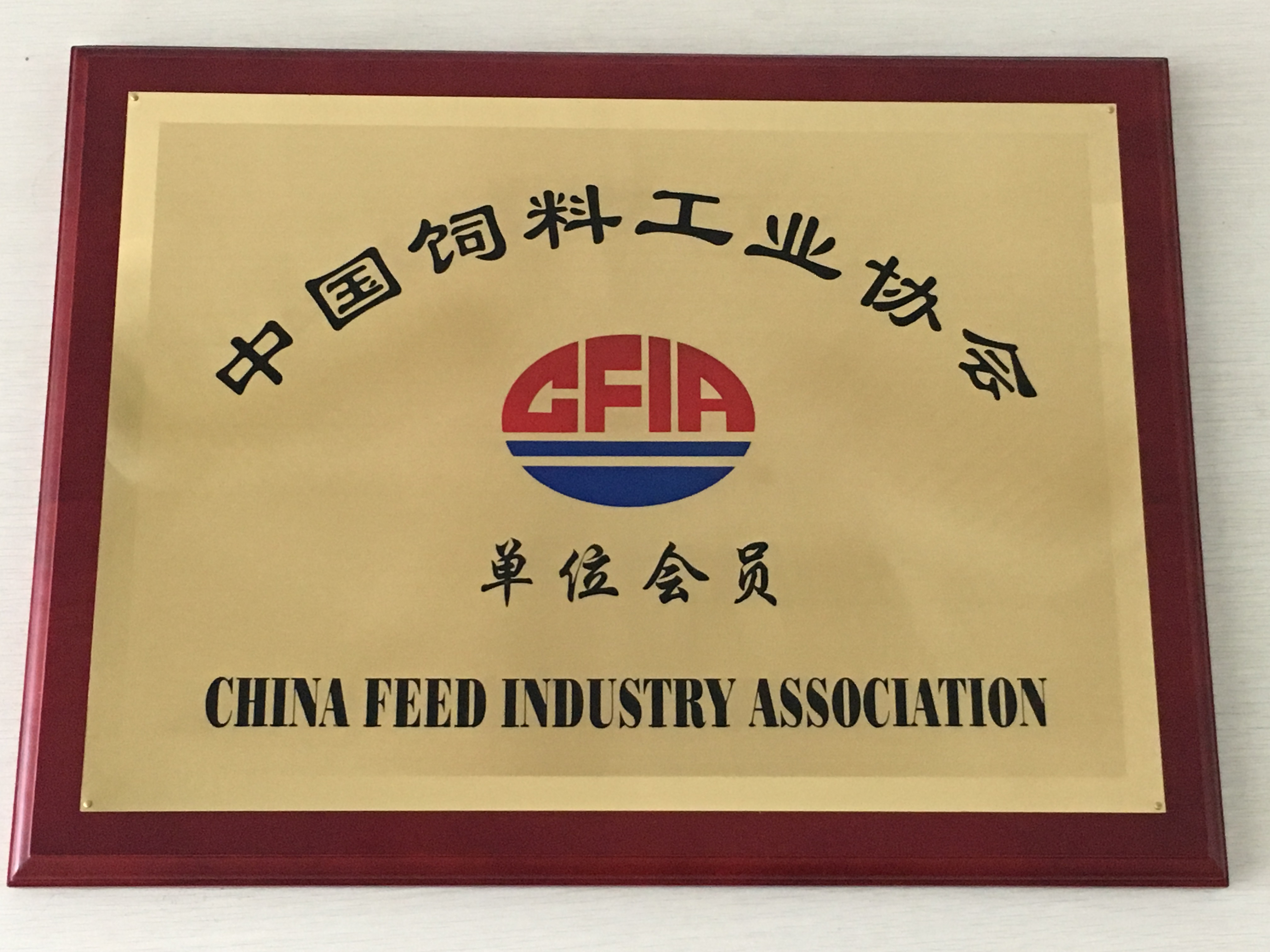 榮譽(yù)資質(zhì) 榮譽(yù)資質(zhì)